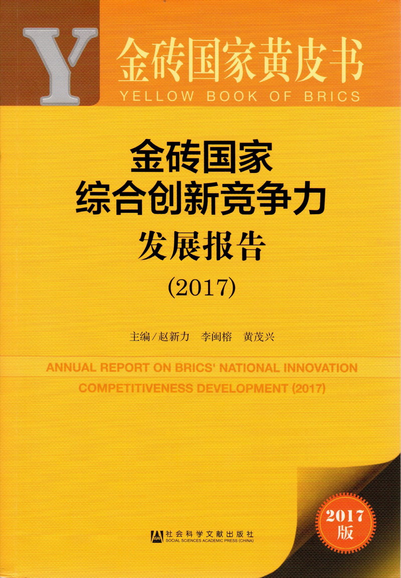 鸡扒操屄视频金砖国家综合创新竞争力发展报告（2017）